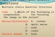 Tips for Multiple Choice Questions Multiple Choice Question Structure Stem1.Which of the following is responsible for focusing the image on the retina?
