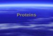 Proteins. Proteins Functions- structural, regulating cell functions (enzymes), antibodies, hormones Functions- structural, regulating cell functions