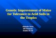 Genetic Improvement of Maize for Tolerance to Acid Soils in the Tropics Alejandro Navas ISU Agronomy October 29 / 98