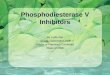 Phosphodiesterase V Inhibitors By Lydia Zou lzou@u.washington.edu Doctor of Pharmacy Candidate Class of 2008