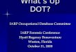 Whats Up DOT? IARP Occupational Database Committee IARP Forensic Conference Hyatt Regency Bonaventure Weston, Florida October 31, 2008