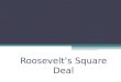 Roosevelts Square Deal. Roosevelt Rises to the Presidency Graduate of Harvard Loved wildlife Named Assistant Secretary of the Navy under President McKinley