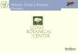 Where Utahs Future Grows.. Location The Utah Botanical Center is located 20 miles north of Salt Lake City in Kaysville Moved from Farmington location
