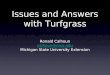 Issues and Answers with Turfgrass Ronald Calhoun calhoun@msu.edu calhoun@msu.edu Michigan State University Extension