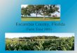 Escambia County, Florida Farm Tour 2005. Escambia County, Florida 661 square miles, or 420,480 acres, with an additional 64,000 acres of water area Population