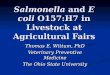 Salmonella and E coli O157:H7 in Livestock at Agricultural Fairs Thomas E. Wittum, PhD Veterinary Preventive Medicine The Ohio State University