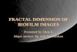FRACTAL DIMENSION OF BIOFILM IMAGES Presented by Zhou Ji Major advisor: Dr. Giri Narasimhan