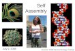 Self Assembly July 9, 2008 Summer 2008 Nanotechnology Institute