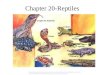 Chapter 20-Reptiles  43DD-83E5-F640422CEFB4&blnFromSearch=1&productcode=US