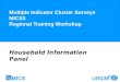 Multiple Indicator Cluster Surveys MICS3 Regional Training Workshop Household Information Panel