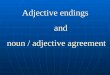 Adjective endings and noun / adjective agreement