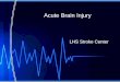 Acute Brain Injury LHS Stroke Center. Objectives Understand need for stroke protocol. Review Brain Anatomy and function. Understand cerebral perfusion