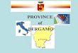 PROVINCE of BERGAMO Bergamo. 25th of May 2005 Agreement - Location near metropolitan areas - International airport based on low cost filghts