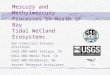 Mercury and Methylmercury Processes in North SF Bay Tidal Wetland Ecosystems San Francisco Estuary Institute USGS BRD WERC Vallejo, CA USGS WRD Menlo Park,