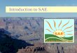 Introduction to SAE. What is SAE? Supervised Agricultural Experience (SAE) Programs consist of planned practical activities, entrepreneurial skills, or