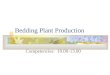Bedding Plant Production Competencies: 10.00-13.00