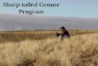 Sharp-tailed Grouse Program. Project Overview Our goal is to preserve and enhance viable Sharp-tailed grouse populations on suitable habitat within their