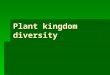 Plant kingdom diversity. Plant Groups 1.Bryophytes-Mosses (seedless, non- vascular) 2.Seedless vascular plants-Ferns 3.Gymnosperms-Evergreens 4.Angiosperms-Flowering
