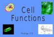 Biology 133. Cell Parts and Functions Cell Membrane Protects the cell Lets things in and out of the cell Location: around the cell Nucleus Control center