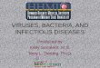 VIRUSES, BACTERIA, AND INFECTIOUS DISEASES Produced by Kelly Somerlot, M.S. Terry L. Derting, Ph.D