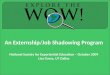 An Externship/Job Shadowing Program National Society for Experiential Education – October 2009 Lisa Garza, UT Dallas