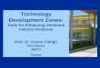 Technology Development Zones: Tools for Enhancing University Industry Relations Prof. Dr. Canan Cilingir Vice Rector METU Turkey