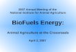 2007 Annual Meeting of the National Institute for Animal Agriculture BioFuels Energy: Animal Agriculture at the Crossroads April 2, 2007