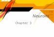 Neurons Chapter 3. Axon The part of the neuron that takes information AWAY from the cell body