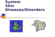 Integumentary System Skin Diseases/Disorders Integumentary System Skin Diseases/Disorders