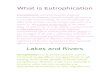 What is Eutrophication