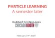 PARTICLE LEARNING A semester later Hedibert Freitas Lopes February 19 th 2009