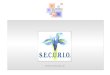 Www.securio.nl. The Netherlands a short introduction concerning the main socio-cultural data