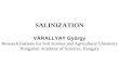 VÁRALLYAY György Research Institute for Soil Science and Agricultural Chemistry Hungarian Academy of Sciences, Hungary SALINIZATION