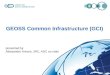 GEOSS Common Infrastructure (GCI) presented by Alessandro Annoni, JRC, ADC co-chair