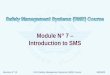 Revision N° 13ICAO Safety Management Systems (SMS) Course06/05/09 Module N° 7 – Introduction to SMS