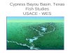 Cypress Bayou Basin, Texas Fish Studies USACE - WES