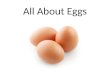 All About Eggs. Parts of the Egg Egg Sizes Jumbo Extra Large Large (Used in all recipes) Medium Small (less common) Pewee (less common) The larger the