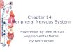 Chapter 14: Peripheral Nervous System PowerPoint by John McGill Supplemental Notes by Beth Wyatt