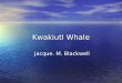 Kwakiutl Whale Jacque. M. Blackwell. I, the mighty whale, give warmth and food to the Kwakiutl, people of the great water. As the men push their sixty-man