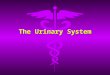 The Urinary System. Functions of the Urinary System Maintains homeostasis of blood Maintains homeostasis of blood –Remove waste products –Restore selected