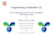Engineering Antibodies (1) MSc Programme University of Nottingham 14 th February 2005 by Mike Clark, PhD Department of Pathology Division of Immunology