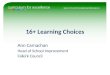 16+ Learning Choices Ann Carnachan Head of School Improvement Falkirk Council