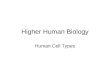 Higher Human Biology Human Cell Types. Introduction The human body is made up of many specialised cells that perform specific functions. Specialised cells