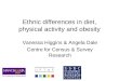 Ethnic differences in diet, physical activity and obesity Vanessa Higgins & Angela Dale Centre for Census & Survey Research