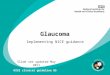 V Glaucoma Implementing NICE guidance Slide set updated May 2011 NICE clinical guideline 85