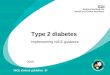 Type 2 diabetes Implementing NICE guidance 2009 NICE clinical guideline 87