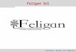 Innovation, quality and simplicity Feligan Srl. Innovation, quality and simplicity Multicaricatori Feligan Ricarica e alimenta qualsiasi dispositivo elettronico