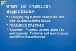 What is chemical digestion? Changing big nutrient molecules into their smaller building blocks REQUIRES ENZYMES Example: Proteins broken down into amino