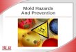 Mold Hazards And Prevention. © Business & Legal Reports, Inc. 0809 Session Objectives Understand the potential health hazards of exposure to mold Detect