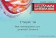 Chapter 14 The Hematopoietic and Lymphatic Systems